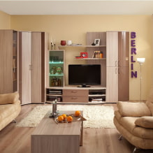 Corner wardrobe in the living room: types, shapes, colors, filling options, examples of sliding wardrobes in hall-5
