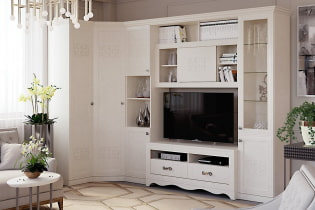 Corner wardrobe in the living room: types, shapes, colors, filling options, examples of sliding wardrobes in the hall