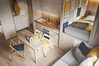 Design stúdió apartman 20 négyzetméter. m. - fotó a belső térről, színválasztás, világítás, elrendezési ötletek