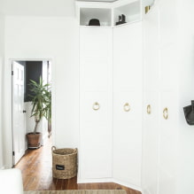 Угаона гардероба у ходнику: врсте, материјали, боје, дизајн и облици, унутрашње пуњење-7