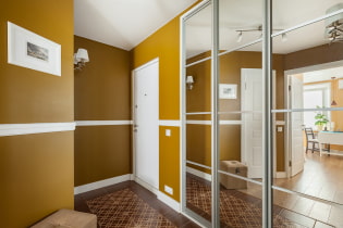 Wardrobe in the hallway and corridor: types, internal content, location, color, design