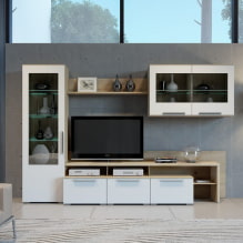 Stěna v obývacím pokoji (hala): design, typy, materiály, barvy, možnosti umístění a výplně-1