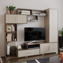 Stěna v obývacím pokoji (hala): design, typy, materiály, barvy, možnosti umístění a výplně-4