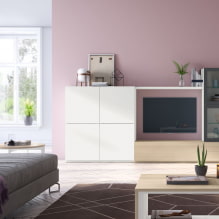 Stěna v obývacím pokoji (hala): design, typy, materiály, barvy, možnosti umístění a výplně-5
