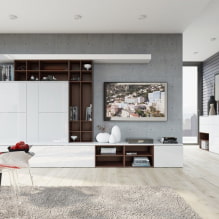 Stěna v obývacím pokoji (hala): design, typy, materiály, barvy, možnosti umístění a výplně-8