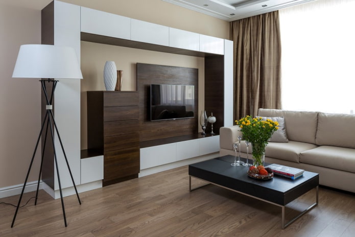 Stěna v obývacím pokoji (hala): design, typy, materiály, barvy, možnosti umístění a výplně