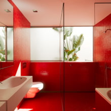 Црвено купатило: дизајн, комбинације, нијансе, водовод, примери завршне обраде тоалета-1
