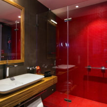 Piros fürdőszoba: kialakítás, kombinációk, árnyalatok, vízvezeték, példák a WC befejezésére-3