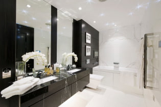 Black and white bathroom: choice of finishes, plumbing, furniture, toilet decoration