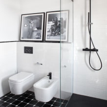 Црно-бело купатило: избор завршних облога, водовод, намештај, дизајн тоалета-3