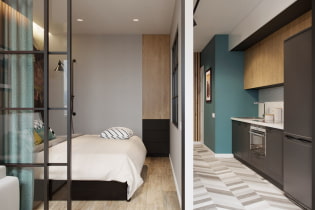 Apartment 40 sq. m. - modern design ideas, zoning, photos in the interior