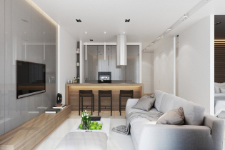 Apartment design 50 sq. m. - interior photos, layouts, styles