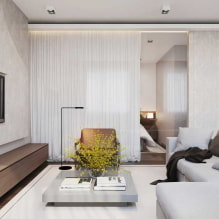 Disenyo ng apartment na 50 sq. m. - larawan ng interior, layout, style-6