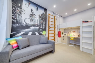 Tizenéves fiú szobájának belseje: zónák, szín, stílus, bútorok és dekoráció megválasztása