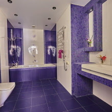 ห้องน้ำสีม่วงและม่วง: การรวมกัน การตกแต่ง เฟอร์นิเจอร์ ระบบประปา และการตกแต่ง-5