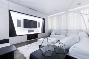 Black and white living room: design features, real examples in the interior
