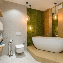 Világítás a fürdőszobában: tippek a kiválasztáshoz, hely, tervezési ötletek-5