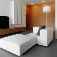 Wohnzimmer im Stil des Minimalismus: Designtipps, Fotos im Interieur-1