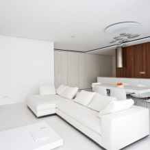 Fehér nappali: tervezési jellemzők, fotók, kombinációk más színekkel-0