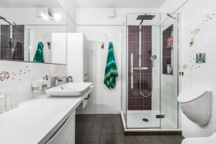 Bathroom design with shower: photo in the interior, arrangement options