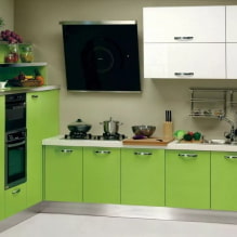 Hellgrüne Küche: Kombinationen, Auswahl an Vorhängen und Oberflächen, eine Auswahl an Fotos-4