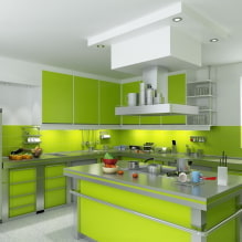 Hellgrüne Küche: Kombinationen, Auswahl an Vorhängen und Oberflächen, eine Auswahl an Fotos-6