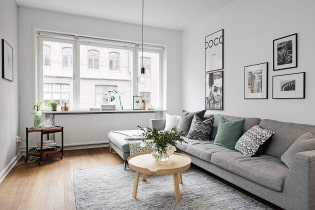 Wohnzimmer im skandinavischen Stil: Funktionen, echte Fotos im Innenraum