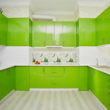 Grüne Küche: Fotos, Gestaltungsideen, Kombinationen mit anderen Farben-2