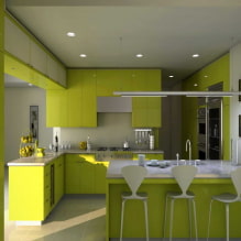 Grüne Küche: Fotos, Gestaltungsideen, Kombinationen mit anderen Farben-5