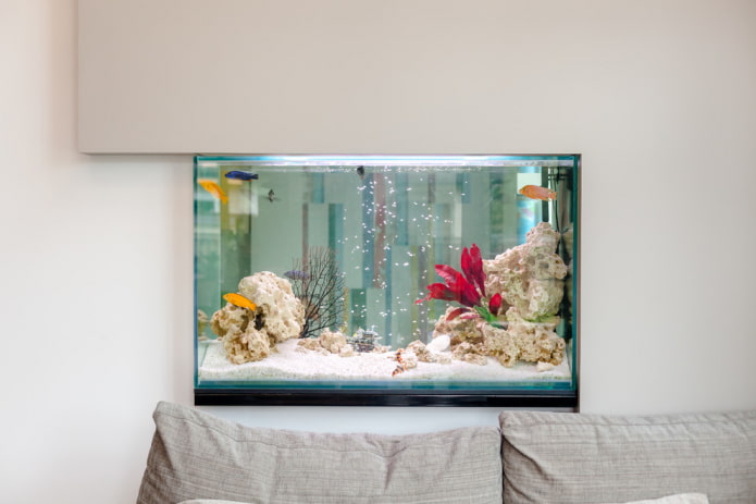 Aquarium im Innenraum: Fotos, Ansichten, echte Designbeispiele