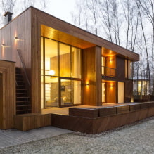 Сеоска кућа у скандинавском стилу: карактеристике, примери фотографија-5