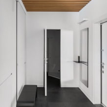 Mga tampok ng disenyo ng pasilyo at pasilyo sa estilo ng minimalism-6