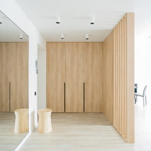 Mga tampok ng disenyo ng pasilyo at pasilyo sa estilo ng minimalism-8
