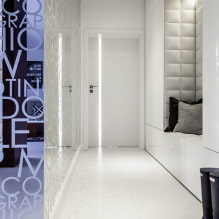 How to decorate a high-tech style corridor and hallway design? -3