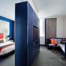 Спаваћа соба и дневна соба у једној соби: примери зонирања и дизајна-0