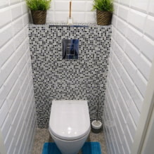 Wie erstelle ich ein modernes Toilettendesign in Chruschtschow? (40 Fotos) -1