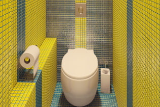 Hogyan készítsünk modern WC-kialakítást Hruscsovban? (40 fotó)