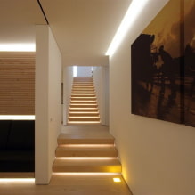 Lépcsőházi világítás a házban: valódi fotók és példák a világításra-4