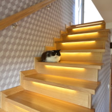 A ház lépcsőinek megvilágítása: valódi fotók és példák a világításra-8