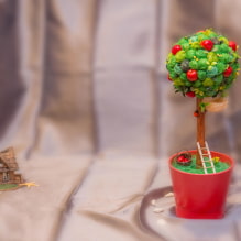 How to make a topiary with your own hands? -3