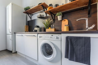 ภาพรวมของวิธีแก้ปัญหาที่ดีที่สุดสำหรับการวางเครื่องซักผ้าในห้องครัว