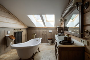 Badezimmer in einem Privathaus: Fotobewertung der besten Ideen