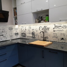 A konyha dekorálása PVC panelekkel: előnyök és hátrányok, alkalmazások, tervezési ötletek-1