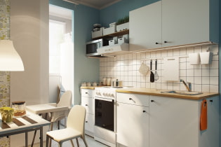 IKEA-Küchen: die Nuancen der Wahl, Typen, Fotos und Videos im Innenraum