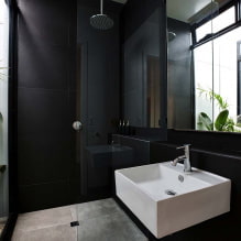 ห้องน้ำสีดำ: ภาพถ่ายและความลับในการออกแบบ-5