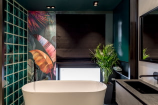 Ablakos fürdőszoba: fotó a belső térben és a tervezési ötletek