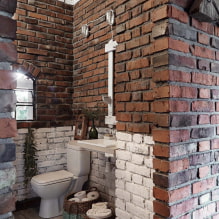 How to decorate a loft-style toilet? -1