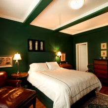 Examples of interior decoration in green-2