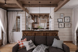All about the design of the living room in the country
