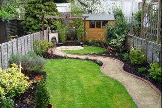 How to decorate a narrow area landscaping?